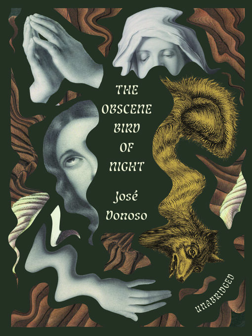 Title details for The Obscene Bird of Night by José Donoso - Wait list